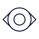 Icon eye 2x