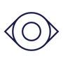 Icon eye 2x